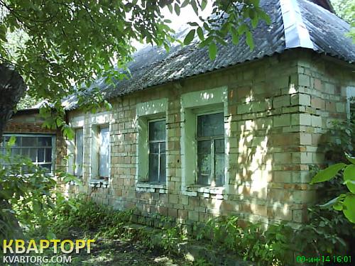 Sell house. Киевская обл., Довгыча — photo 2