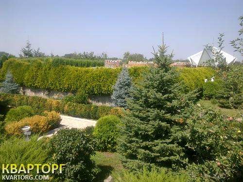 Sell house. Киевская обл., Пинчуки — photo 4
