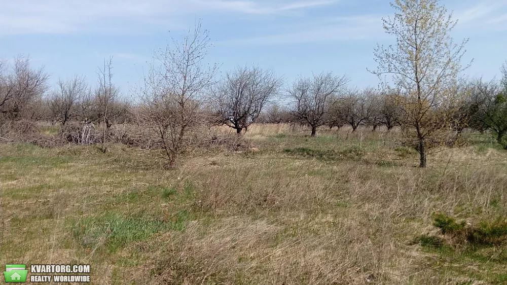 Придбати земельну ділянку Неграши Київська область | Домоскоп