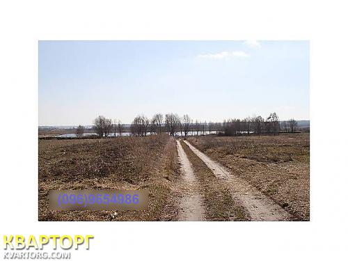 Sell house. Киевская обл., Бородянка — photo 7