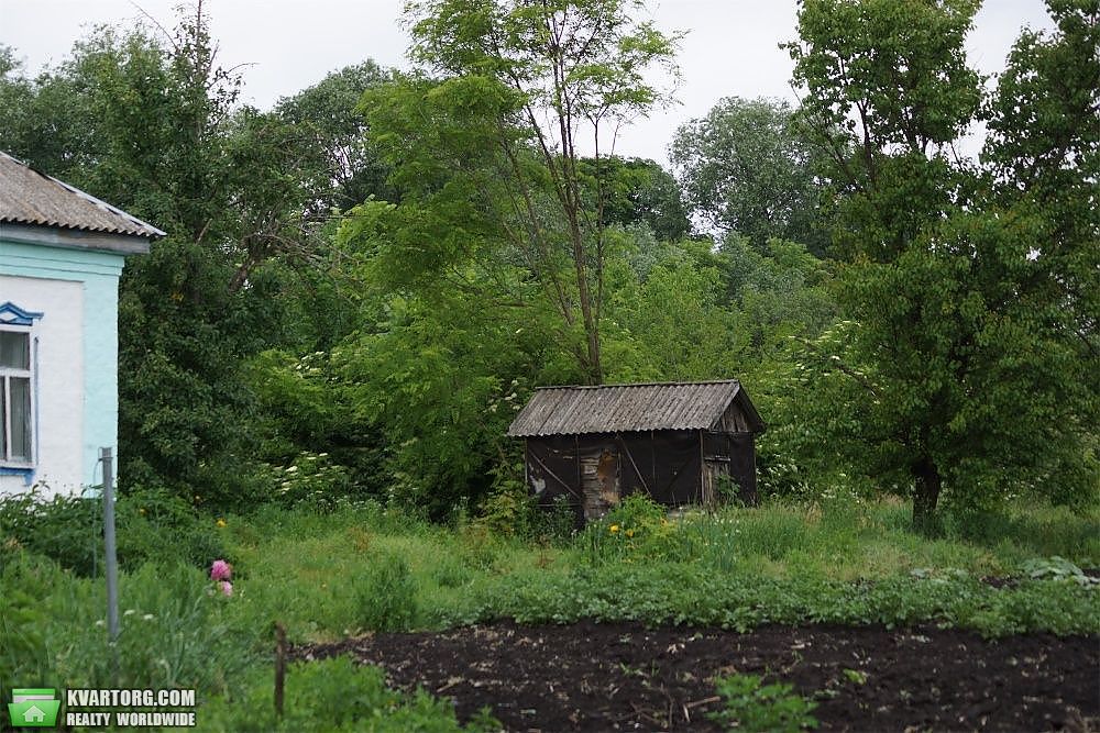 Sell house. Киевская обл., село Cотниковка — photo 3