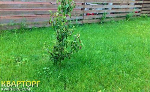 Rent out house. Киевская обл., Конча-Заспа — photo 3