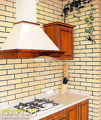 Rent out house. Киевская обл., Погребы — photo 3