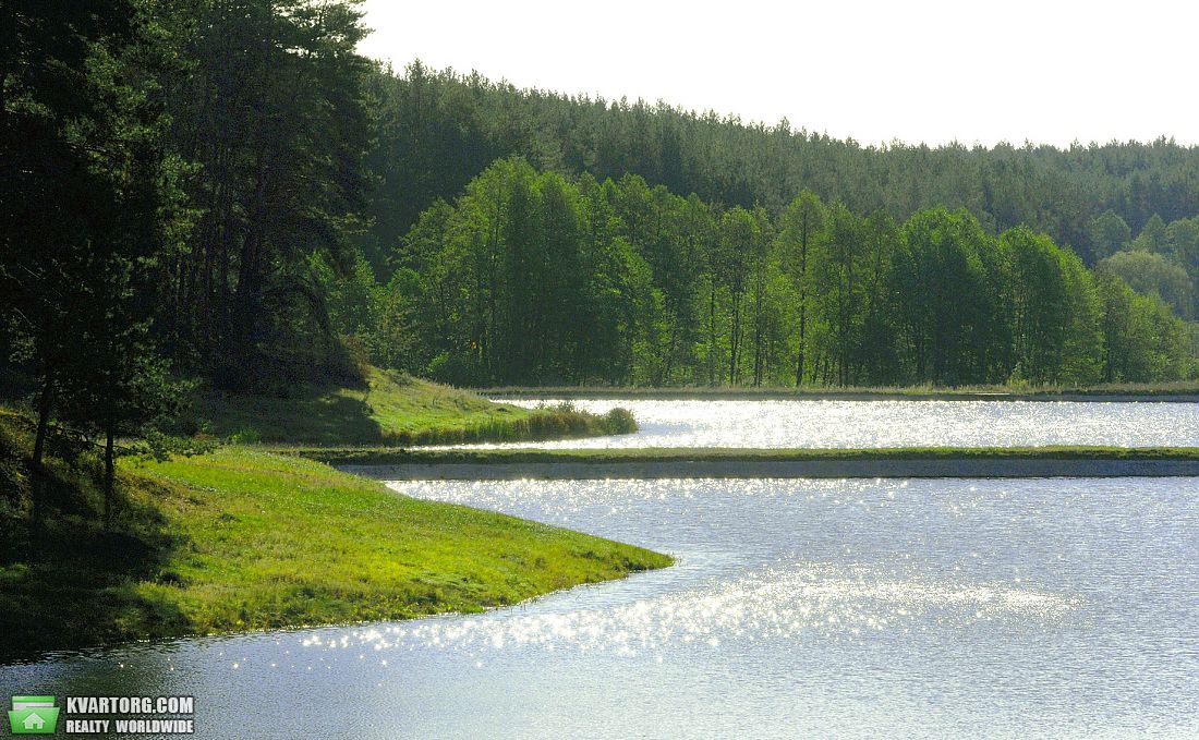 Макаровский лес. В Макаровском районе Киевской. Село лишняя