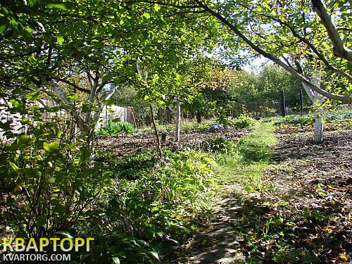 Sell house. Киевская обл., Дача — photo 4