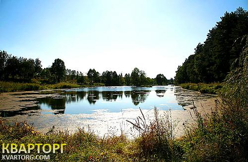 Sell house. Киевская обл., рыльского — photo 2