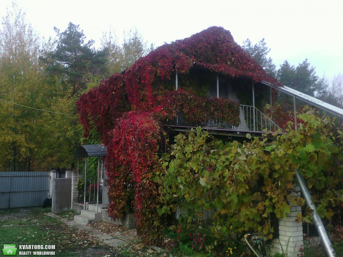 Sell house. Киевская обл., Козинці — photo 1
