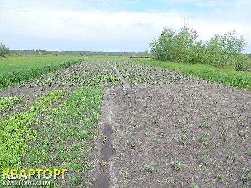 Sell house. Киевская обл., Марьяновка — photo 6