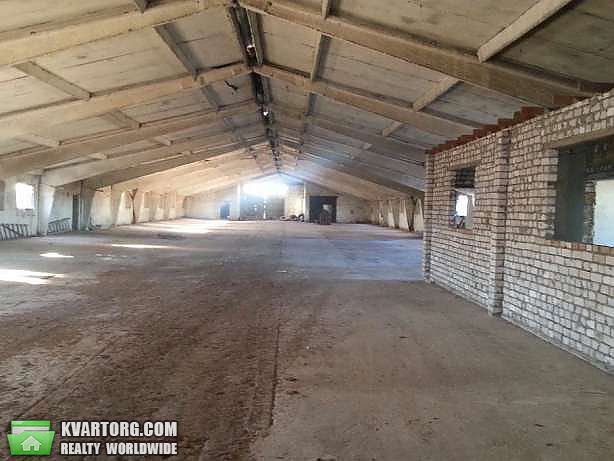 Sell warehouse. Херсон, п. Зеленовка — photo 6
