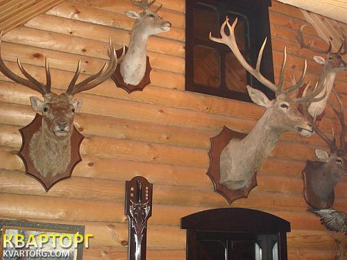 Sell house. Киевская обл., село Стайки — photo 6