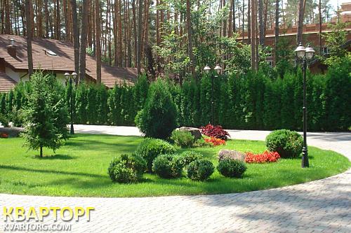 Sell house. Киевская обл., Плюты — photo 1