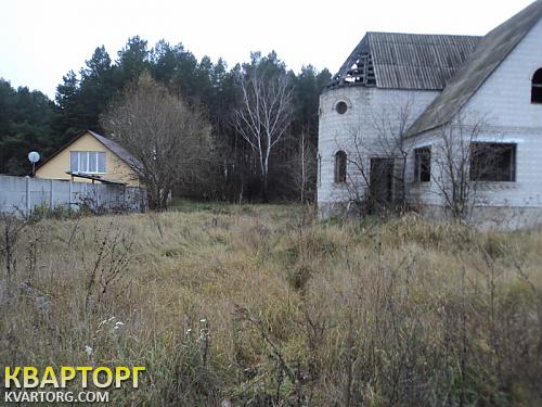 Sell house. Киевская обл., нещерів — photo 1