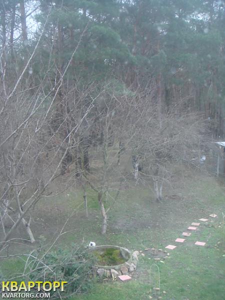 Sell house. Киевская обл., Иванковичи — photo 9