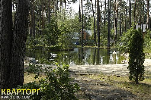 Sell house. Киевская обл.,  Шевченко бул — photo 6
