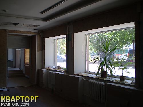 Rent out shop. Киев, ул.Щорса.33/1 — photo 3