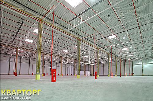 Rent out warehouse. Киевская обл., Макаровский — photo 3