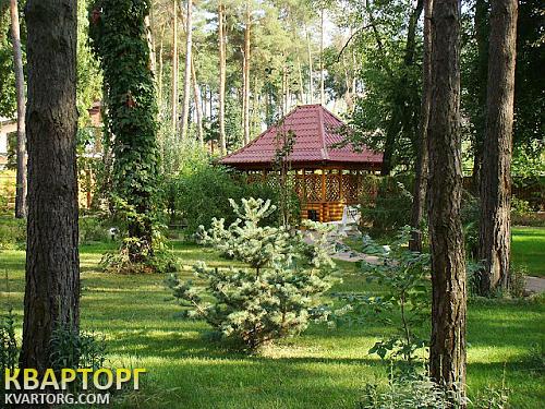 Rent out house. Киевская обл., Романков — photo 5