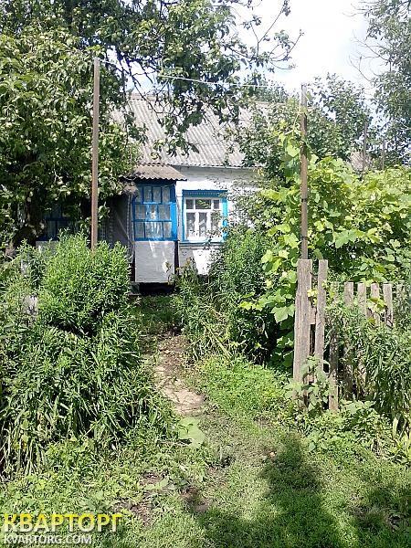 Sell house. Киевская обл., Киевская — photo 4