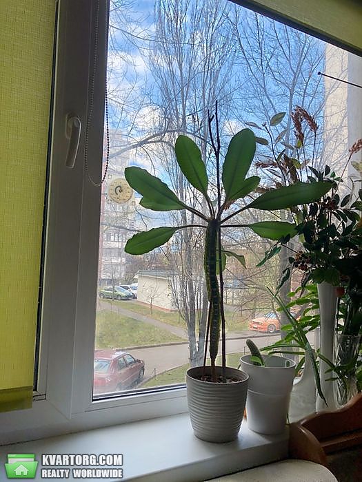 Sell 3-room apartment. Киев,  Тимошенко — photo 5