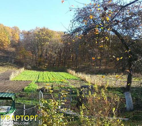 Sell house. Киевская обл., Долина — photo 5