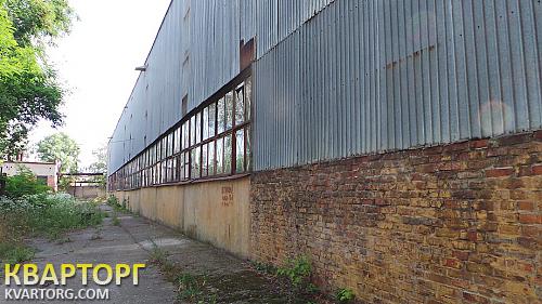 Sell warehouse. Чернигов, Циолковского — photo 1