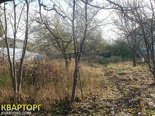 Sell house. Киевская обл., Буча — photo 3