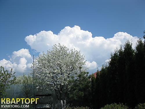 Rent out house. Киев, Горького — photo 7