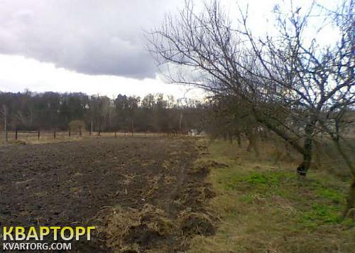 Sell house. Киевская обл., старый дом — photo 2