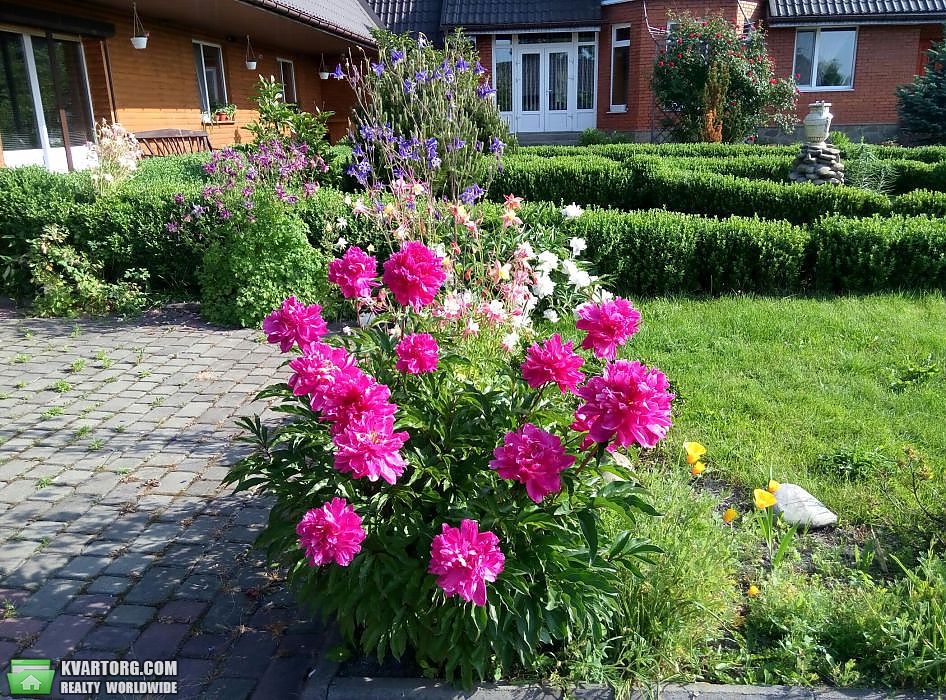 Rent out house. Киев, Первомая — photo 6