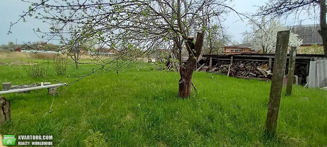Sell house. Киевская обл., с.Сухолучье — photo 9