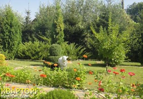Rent out house. Винница, Ближний Старый город — photo 4