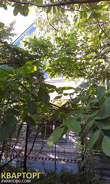 Sell house. Киевская обл., кооп. Прилесье — photo 7