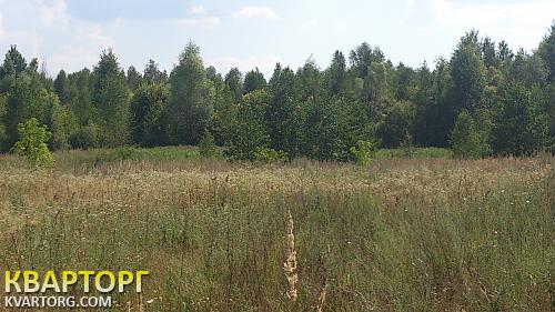 Sell house. Житомир, центральная — photo 3