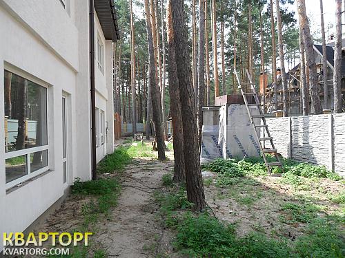 Sell house. Киевская обл.,  Лесная — photo 3