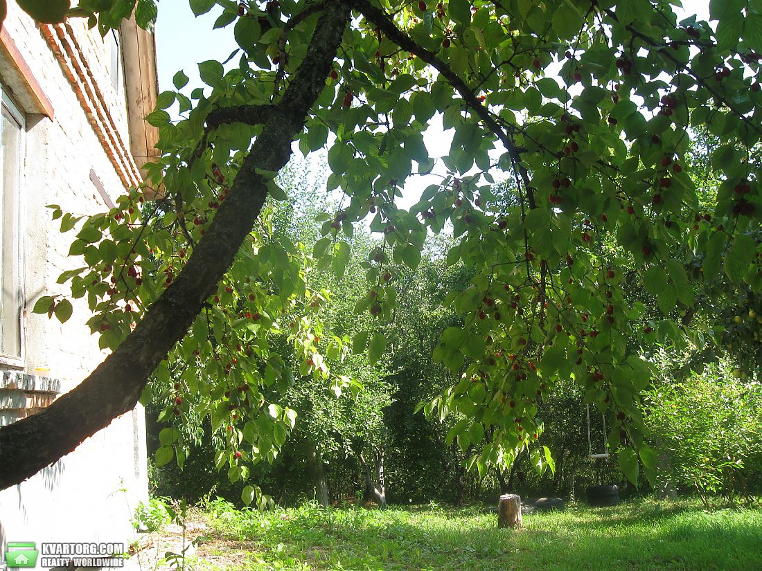 Sell house. Киевская обл., Запорожская — photo 7