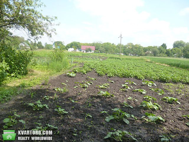 Sell house. Борисполь, центр села — photo 5