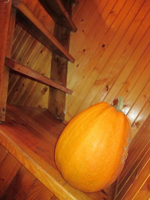 Sell house. Киевская обл., Ленина — photo 6
