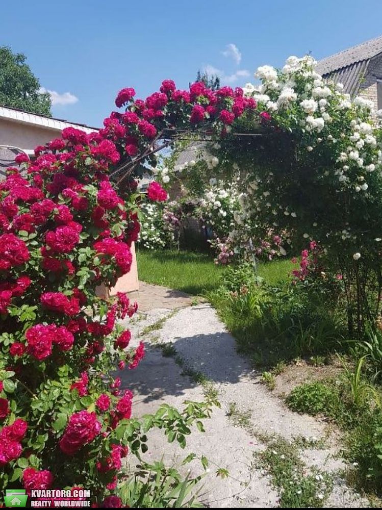 Sell house. Вишневое,  Мира пр — photo 1