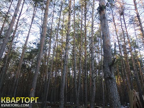 Sell house. Киевская обл., ...... — photo 3