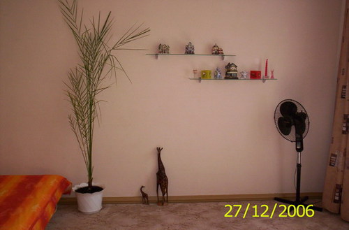 Rent out house. Киев,   Осокорки — photo 3