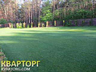 Sell house. Киевская обл., Процев — photo 3