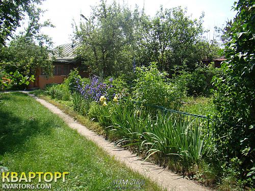 Sell house. Киевская обл., Велика Вильшанка — photo 2
