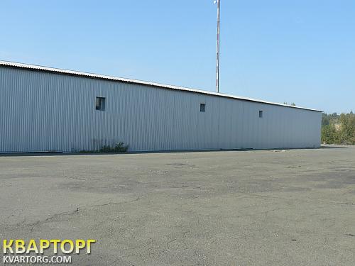 Rent out warehouse. Киевская обл., Белогородка — photo 5