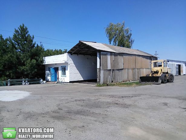 Sell warehouse. Запорожье, пгт. Терноватое — photo 4
