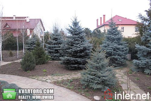 Rent out house. Одесса, Совиньон — photo 4
