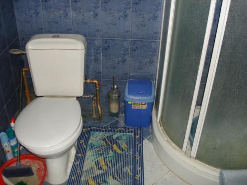 Sell house. Киевская обл., петривци — photo 9