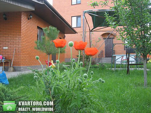 Sell house. Киевская обл., Ленина — photo 2