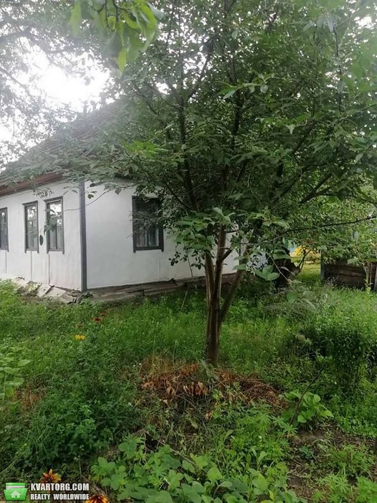 Sell house. Киевская обл., Кодра — photo 2
