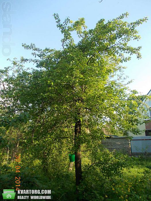 Sell house. Киев,  Радужная — photo 3