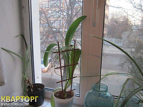 Sell 1-room apartment. Киев, Шлихтера — photo 3
